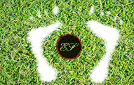Company's Environemtal Policy image